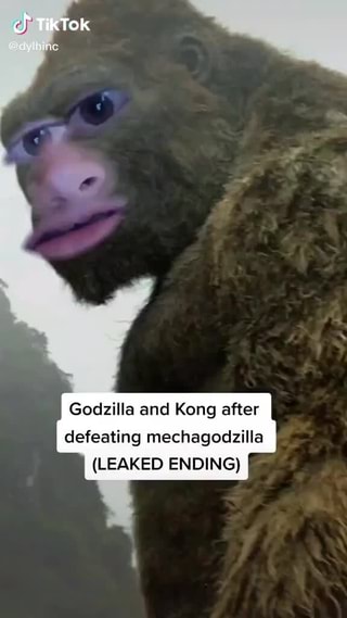 Potato Godzilla Leaked photo 16
