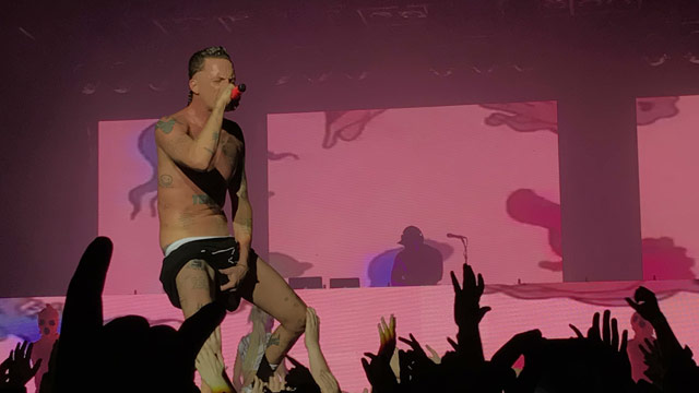 Die Antwoord Ninja Nude photo 22