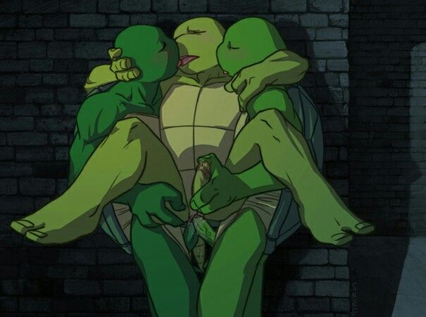 Gay Ninja Turtle Porn photo 23