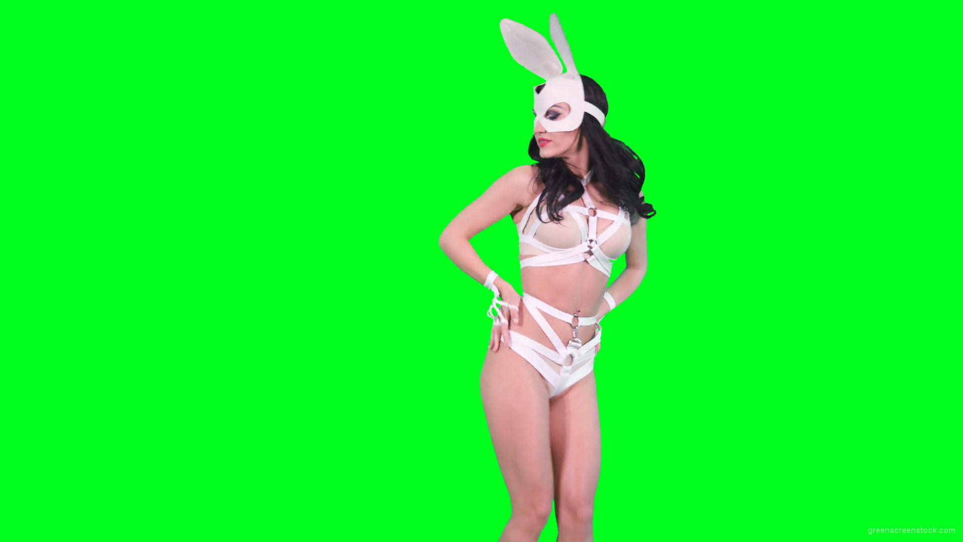 Sexy Bunny Video photo 10