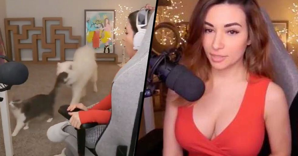 Twitch Streamer Shows Nipple photo 29